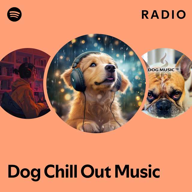 Chill hot sale dog music