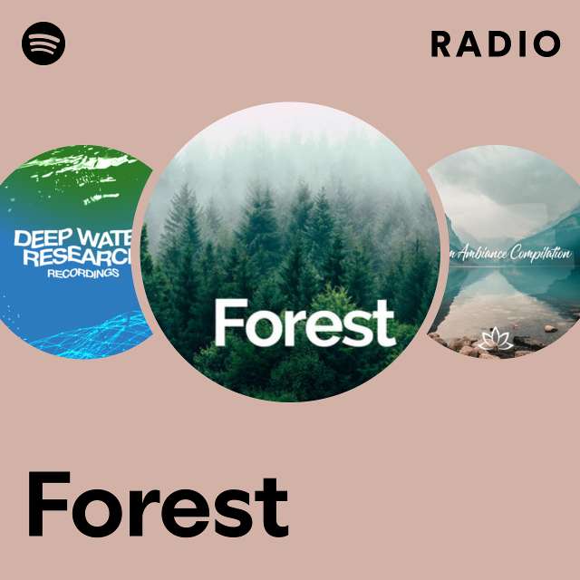 Jorest Radio - playlist by Spotify