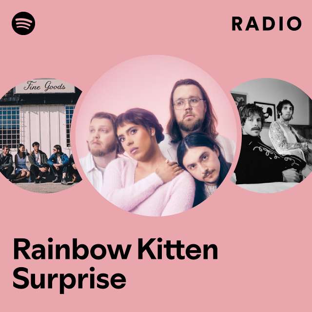 Rainbow Kitten Surprise