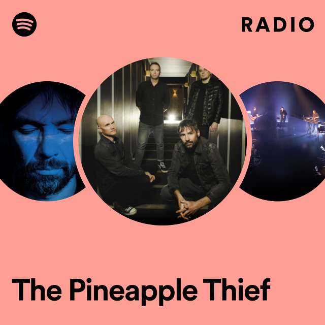Imagem de The Pineapple Thief