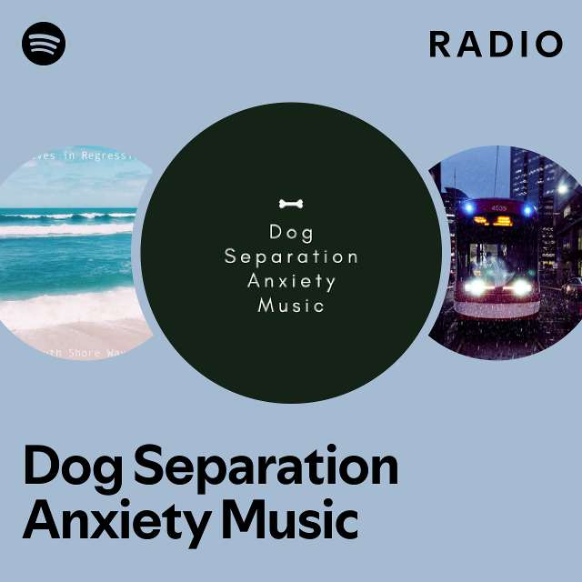 Separation anxiety music for hot sale dogs