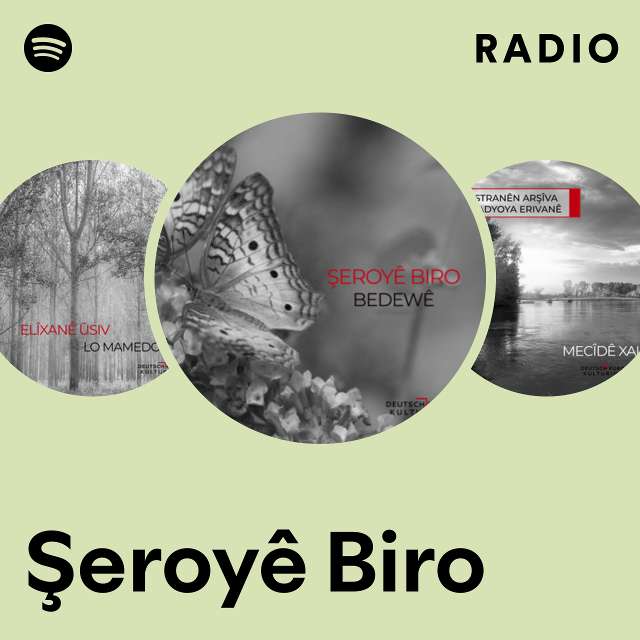 Şeroyê Biro Radio - playlist by Spotify