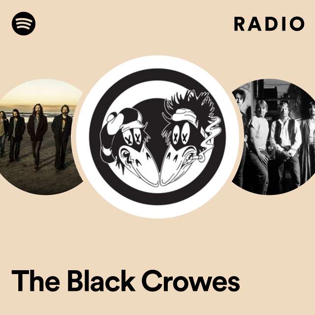 Imagem de The Black Crowes