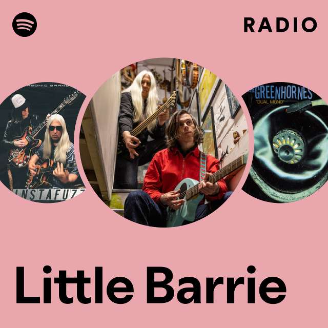 Little Barrie | Spotify