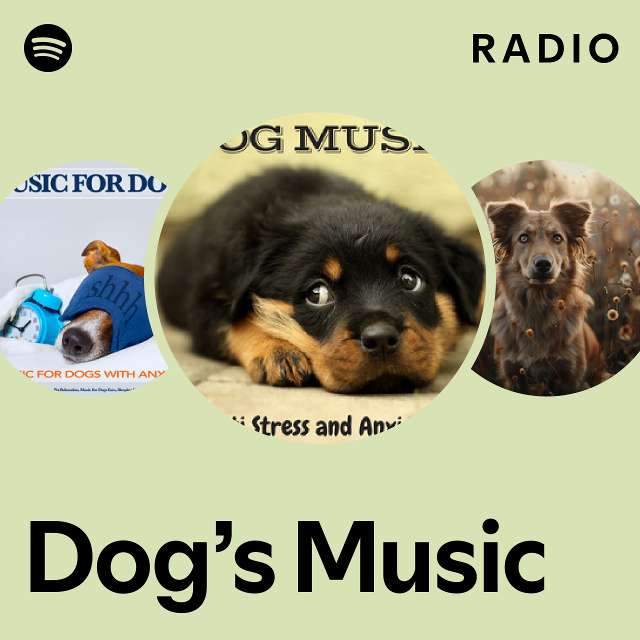 Spotify store dog music