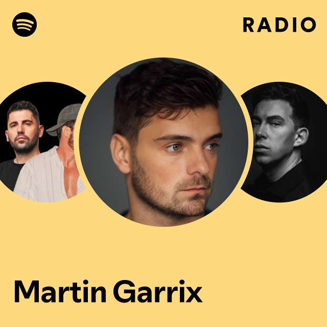 Мужская толстовка хлопок Martin Garrix