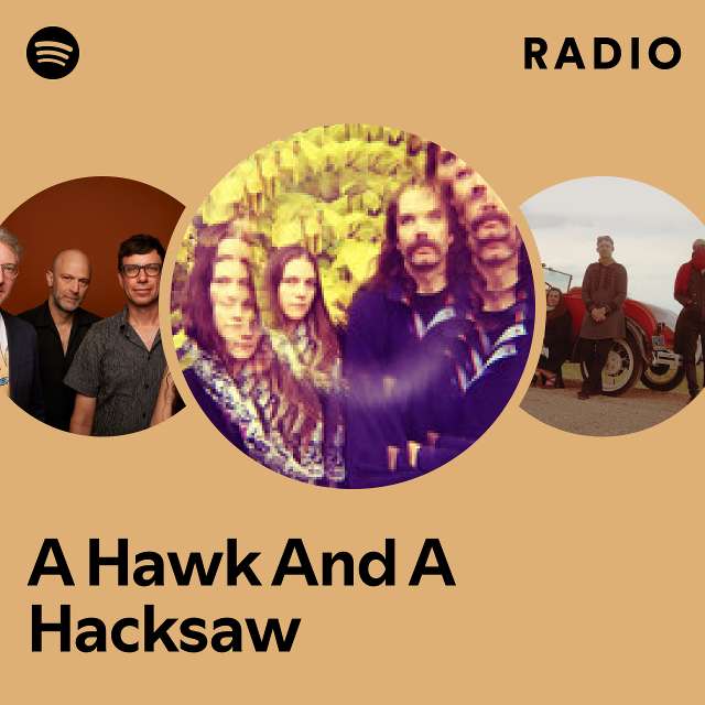 A Hawk And A Hacksaw | Spotify