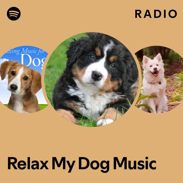 Music to best sale relax dogs anxiety