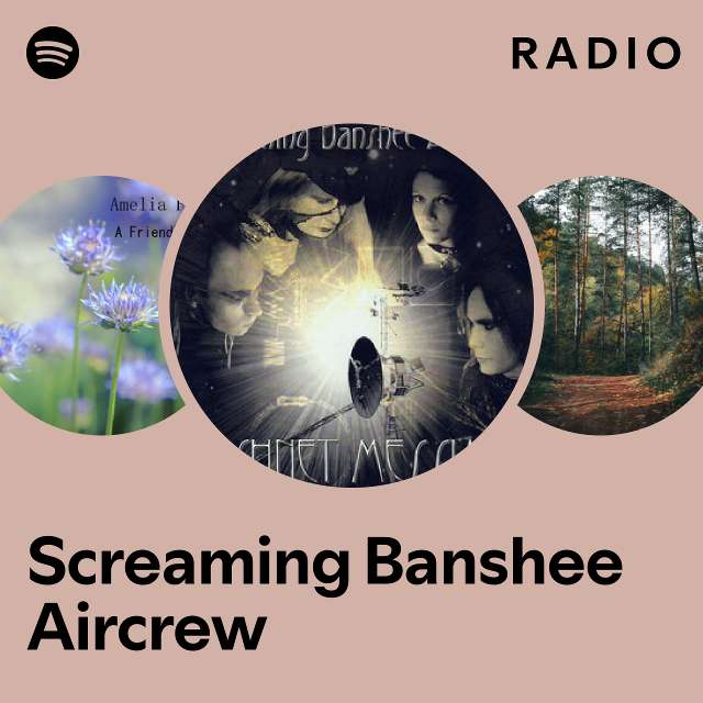 Screaming Banshee Aircrew | Spotify