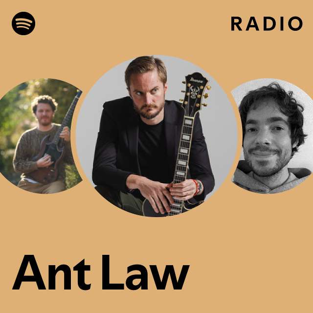 Ant law store guitar