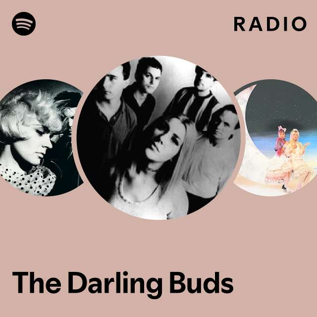 The Darling Buds | Spotify