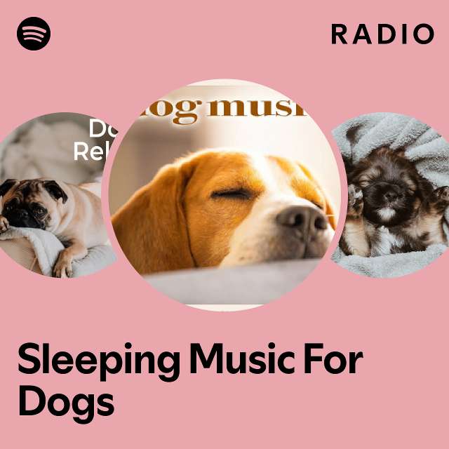 Music to make 2024 dogs fall asleep