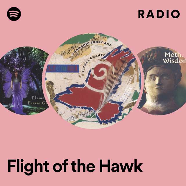 Imagem de Flight Of The Hawk