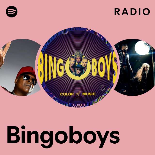 BINGOBOYS THE BEST OF BINGOBOYS US盤 - 洋楽