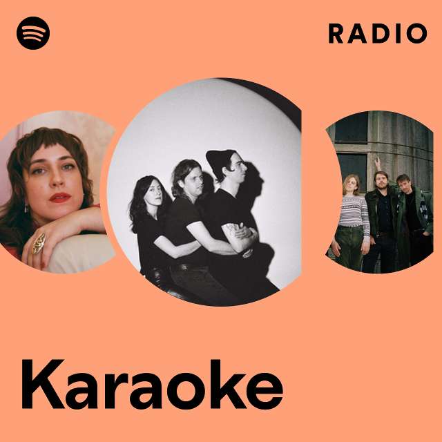 Karaoké Playback Français Radio - playlist by Spotify