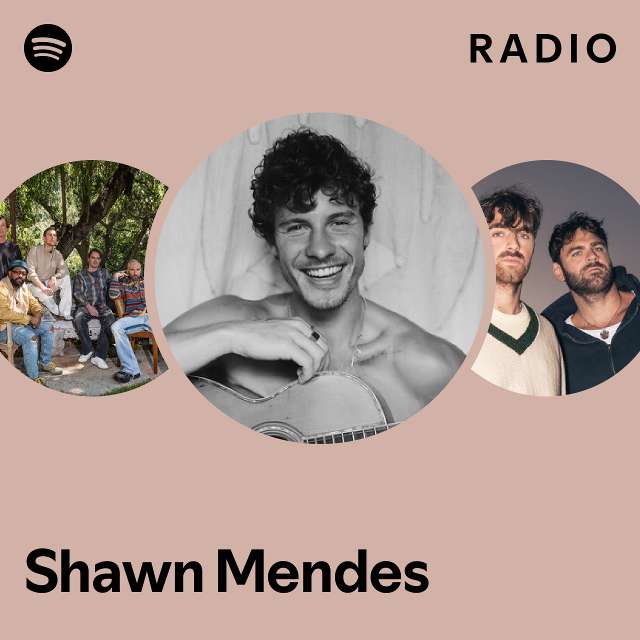 Shawn Mendes Radio playlist by Spotify Spotify