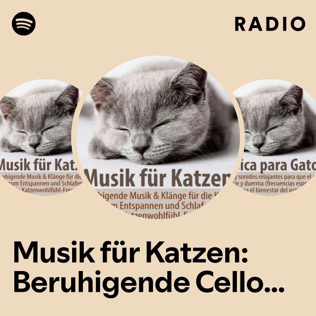 Musik für Katzen: Beruhigende Cello Klänge, sanftes Katzen Schnurren ...