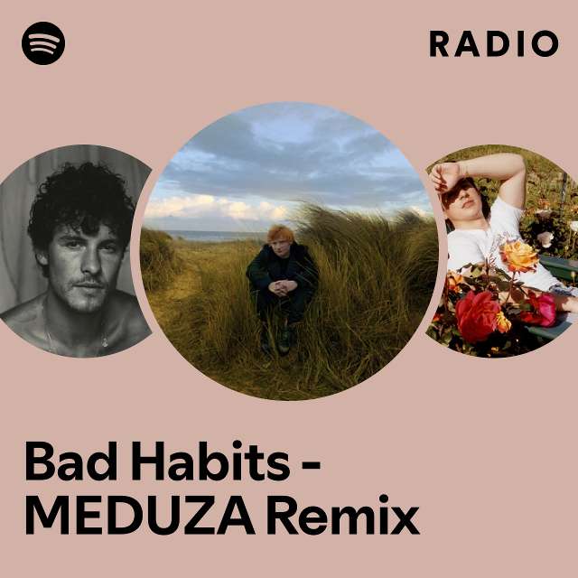 Meduza played a mashup of Ed Sheeran's 'Bad Habits' and his remix of S