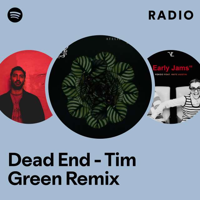 Dead End - Tim Green Remix Radio