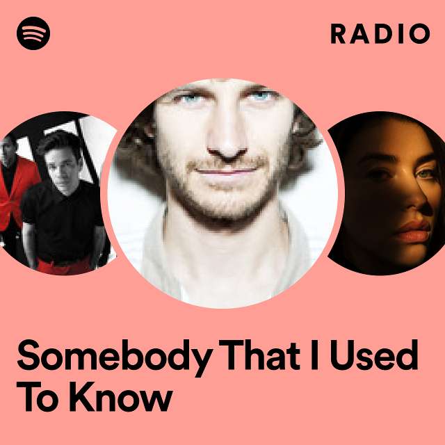 Somebody That I Used To Know Radio