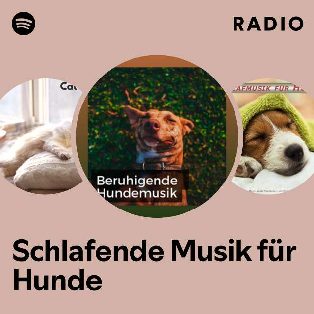 Schlafende Musik für Hunde Radio