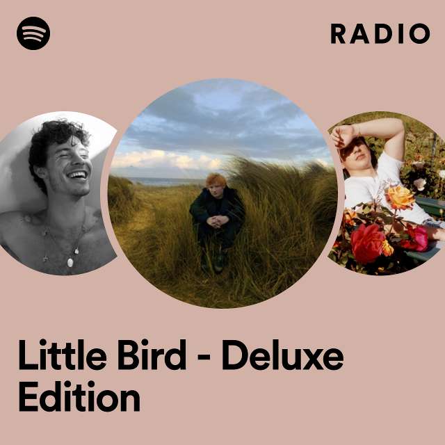 Little Bird - Deluxe Edition Radio