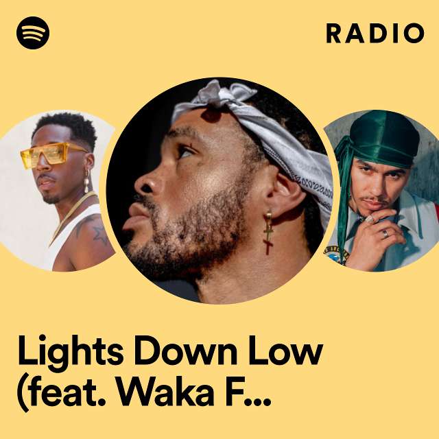 Lights Down Low (feat. Waka Flocka Flame) Radio
