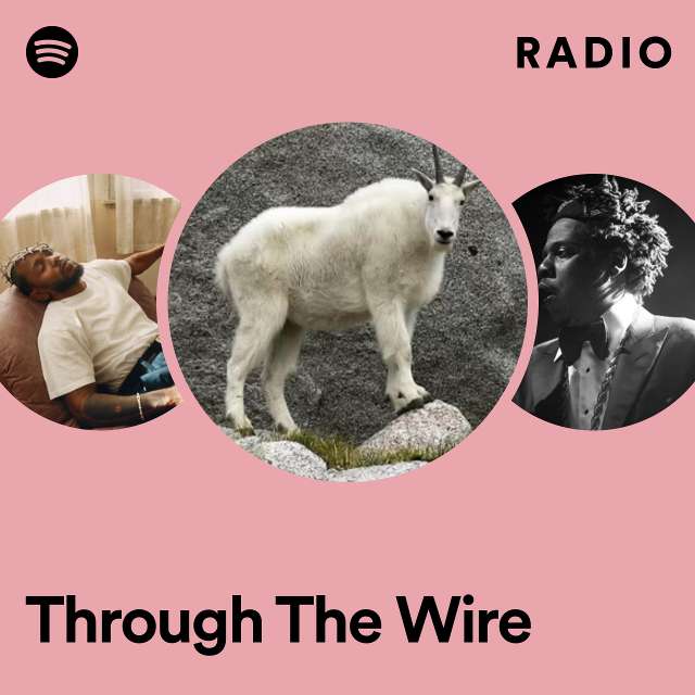 Through The Wire Radio