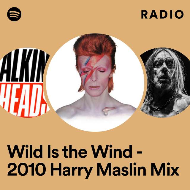 Wild Is the Wind - 2010 Harry Maslin Mix Radio