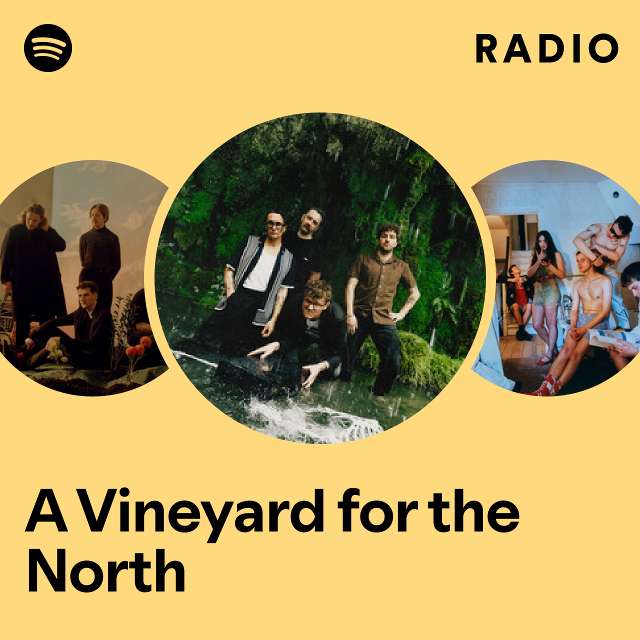 A Vineyard for the North Radio