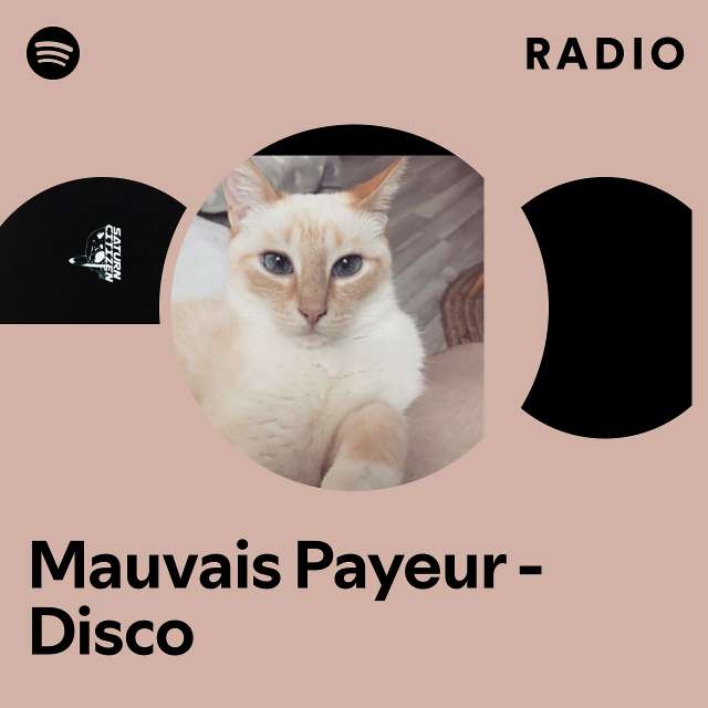 Mauvais Payeur - Disco Radio