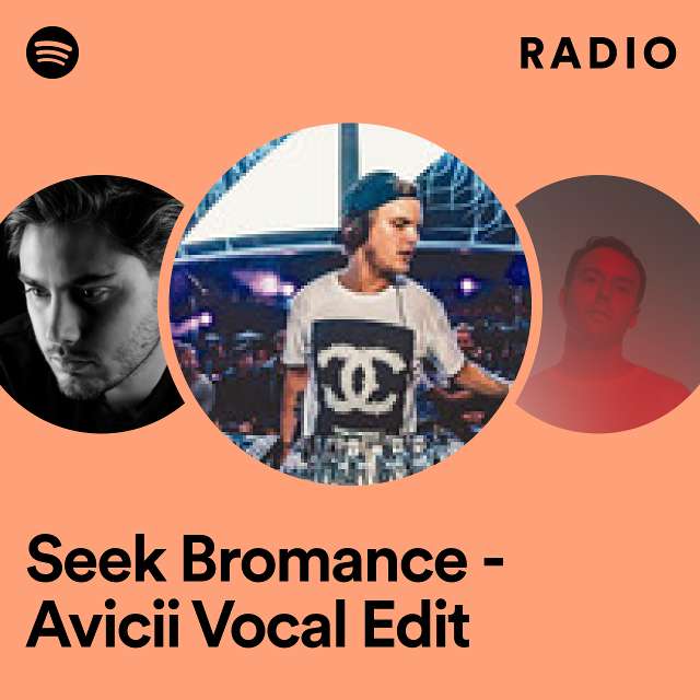 Seek Bromance - Avicii Vocal Edit Radio