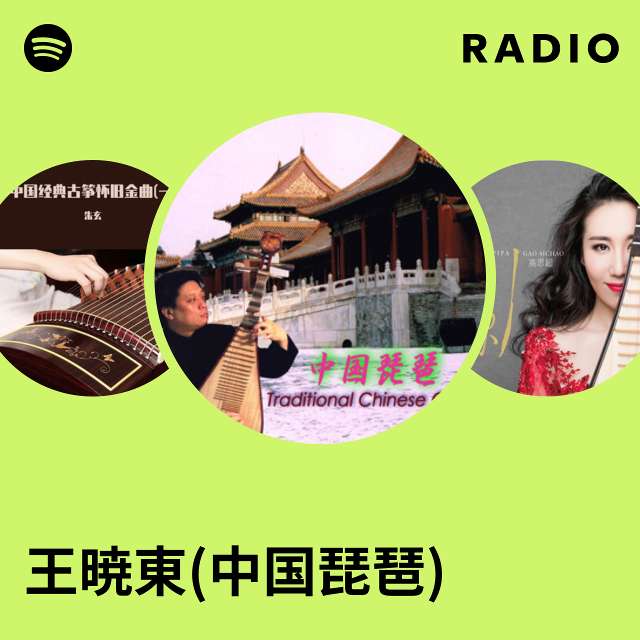 王暁東(中国琵琶) | Spotify