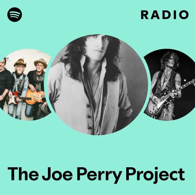 The Joe Perry Project | Spotify