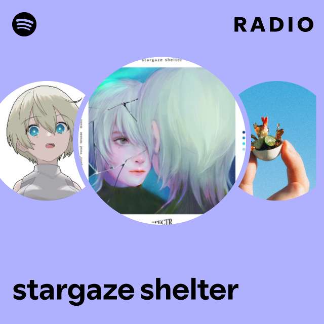 stargaze shelter | Spotify