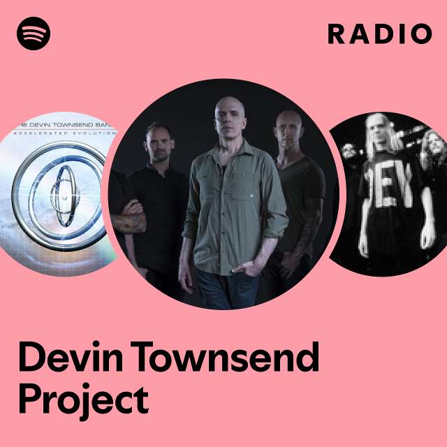 devin townsend project logo