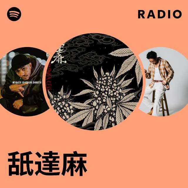 舐達麻 | Spotify