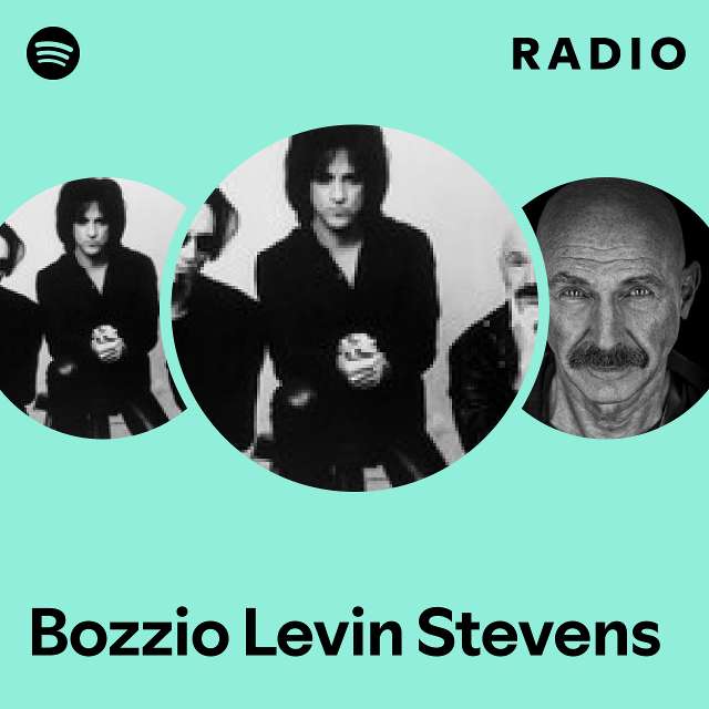 Bozzio Levin Stevens | Spotify