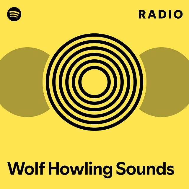 wolf winters sound of silence spotify